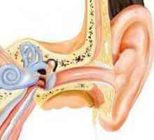 Lepidlo zánět středního ucha: příznaky, léčba