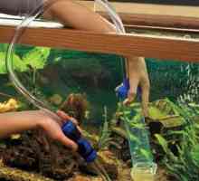 Akvária: jak upravit vodu v akváriu? Jak se bránit vodu pro akvárium