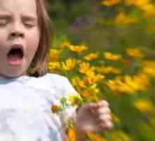 Alergická rýma u dětí: jak se chovat