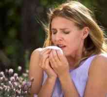 Alergie na jaře, a faktory, které ji způsobují