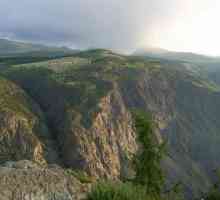 Altai Reserve - vrcholem Altai území