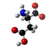 Aminokyseliny - speciální organické sloučeniny