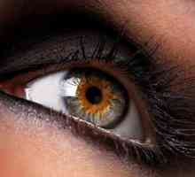 Angiopatie sítnice v obou očích - co to je a jak se chovat?