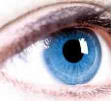 Angiopatie sítnice očí. rizikové skupiny, druhy, léčba