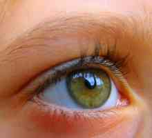 Angiopatie sítnice očí: příčiny, příznaky a léčebné metody
