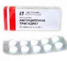 Antibakteriální „ampicilin trihydrát“: návod k použití