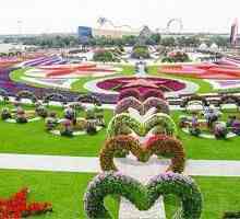 Arabský svět divu: Flower park v Dubaji