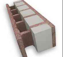 Dřevo-betonové bloky: nedostatky, recenze, specifikace