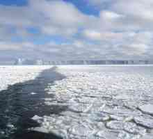 Arktické moře mycí Rusko