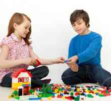 Sortiment Lego - skvělý způsob, jak potěšit své dítě!