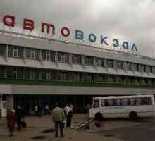 Autobusová zastávka „Shchelkovo“ - jediný autobusové nádraží v Moskvě