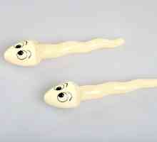 Sperm bakposev: indikace, příprava, dodávka, dekódování