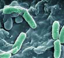 Bakterie v moči dítěte: symptomy, příčiny, prevence