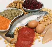 Proteiny: to, co potraviny obsahují