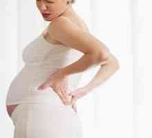 Těhotenství 40 týdnů, žaludek ztvrdne. Příčiny dělohy hypertonu