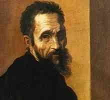 Биография микеланджело, великого художника эпохи возрождения