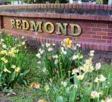 Blender "Redmond": recenze. Funkcích, cenách fotky