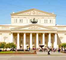Nemocnice Mariinského (Petrohrad): adresa, fotografie a svědectví pacientů