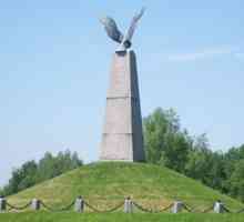 "Borodino pole" - State Borodino War a History Museum a Reserve