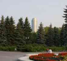 Botanická zahrada (Jekatěrinburg) je bohatá sbírka rostlin.