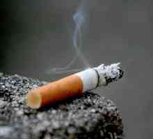 Značka Davidoff. Cigarety. Jak se zbavit závislosti na nikotinu