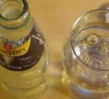 Značka „Schweppes“ - nápoj a jeho historie