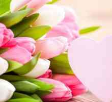 Kytice z tulipánů na 8. března - perfektní dárek pro ženu