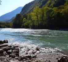 Бзыбь - река в Абхазии. Описание, особенности и природный мир