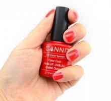 Canni (gel na nehty): hodnocení, popisy, výhody