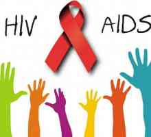 Jaký je rozdíl mezi HIV a AIDS. O tom, jak rozpoznat příznaky HIV, AIDS