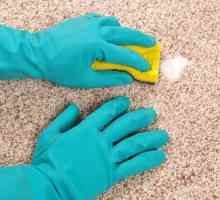 Jak čistit koberec doma? Mezi hlavní způsoby,