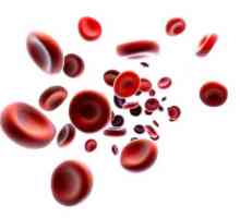 Zvedání hemoglobin? Několik tipů a recepty
