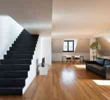 Jak namalovat podlahy v dřevěném domě: nátěru?