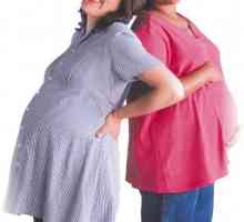 Po kolika dnech můžete otěhotnět po měsíci? Jak rychle se můžete otěhotnět po měsíci?…