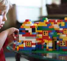 Co může být postaven z „Lego“? Nápady a možnosti