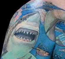 Co znamená tetování „Žralok“?