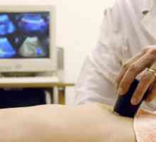 Co a jak na břišní ultrazvuk?
