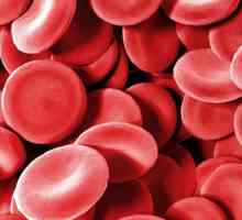Což zvyšuje hemoglobin v krvi: a léky lidové
