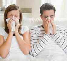 Co byste měli vědět o chřipkového viru?