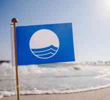Co tím myslíš, modré vlajky na pláži?