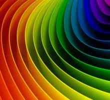 Цветовой спектр: на какие сегменты он делится и как нам видится?