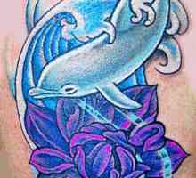 „Dolphin“ - tetování význam. Co to znamená?