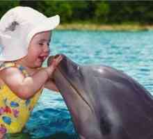 Дельфин - животное или существо разумное?