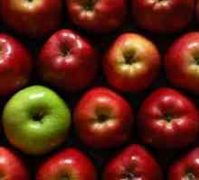 Jablko denně - historie vzniku a skript matiné
