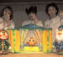 Детский кукольный театр, новосибирск: репертуар, фото и отзывы