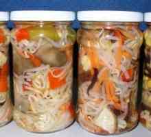 Domácí zeleninové saláty v zimě: recepty