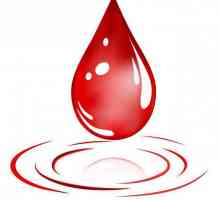 Darování krve: Výhody a poškozuje. Kde a jak darovat krev