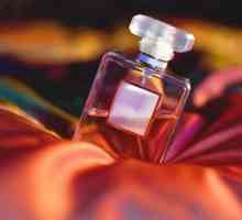 Parfémy, typy parfémů pro ženy - je to víc než jen příchutí
