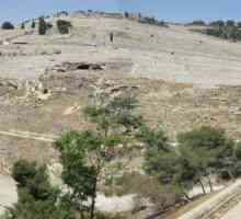 Olivová hora v Jeruzalémě: hlavní svatyně a pamětihodnosti