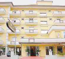 Elisir 4. Hotel Elisir 4 (Rimini, Rivabella): recenze